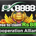pk8888 game