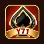 y71 game