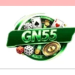 GN55 GAME