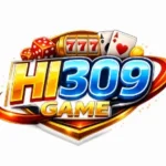 HI309 Game