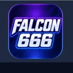 falcon666 Game
