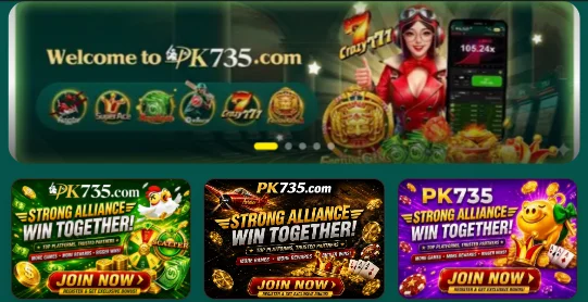 Pk735 Game