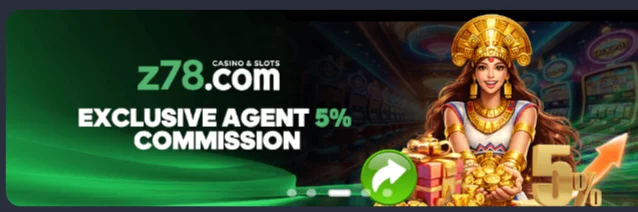 What Is Z78 Game?